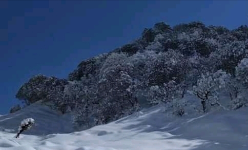 बाजुरामा हिमपात :सञ्चार, यातायात,  शिक्षा  क्षेत्रमा  प्रभाव पर्ने सम्भावना