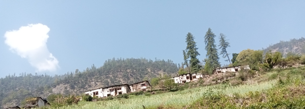 संघीयता पछिको बिच्छ्याँ