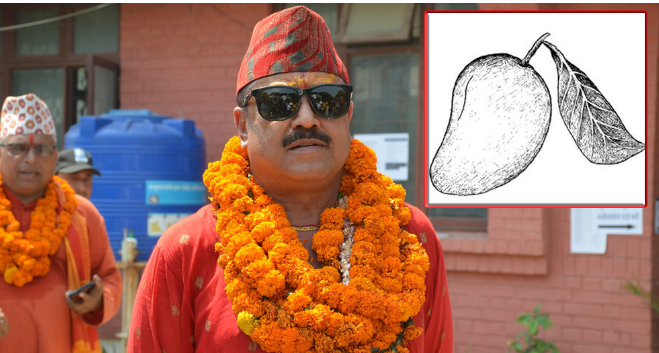 धनगढीमा गोपाल हमाल (गोपी) को मत दोब्बरले अग्रता