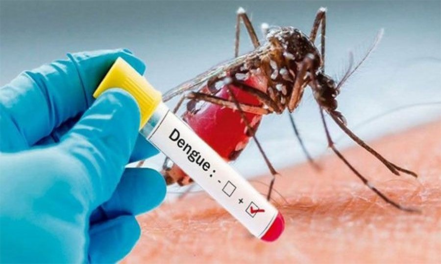 डोटीका २७ जनामा डेंगु पुष्टि, दिपायल सिलगढीका मात्रै ११ जना