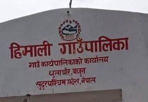 हिमालीमा ५० प्रतिशत मुल्य अनुदानमा फलफूल विरुवा खेती प्रवर्द्धन कार्यक्रम संचालन