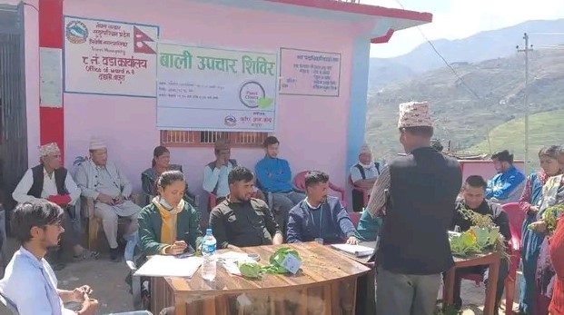 ज्ञान केन्द्र बाजुरा द्वारा त्रिवेणी-८ मा बाली उपचार शिविर संचालन