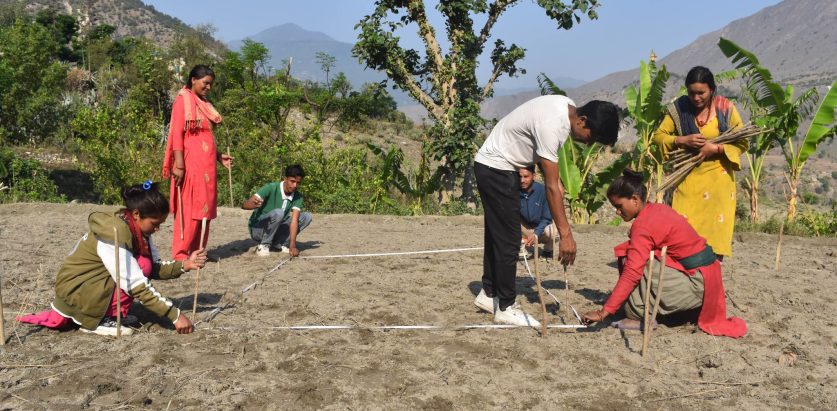 रैथाने बालीहरूको प्रवर्द्धन गर्नका लागि स्वामीकार्तिकमा जैविक विविधता ब्लक स्थापना