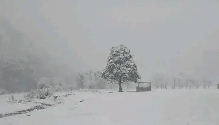 बाजुराका उच्च हिमाली भेगमा बर्षासँगै भारी हिमपात