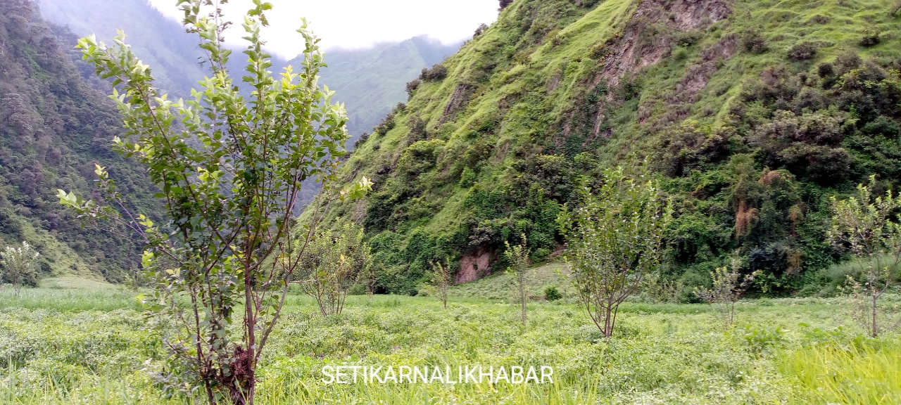 नागरिकको जनजीवन संग जोडिएको वृक्षारोपण कार्यक्रम