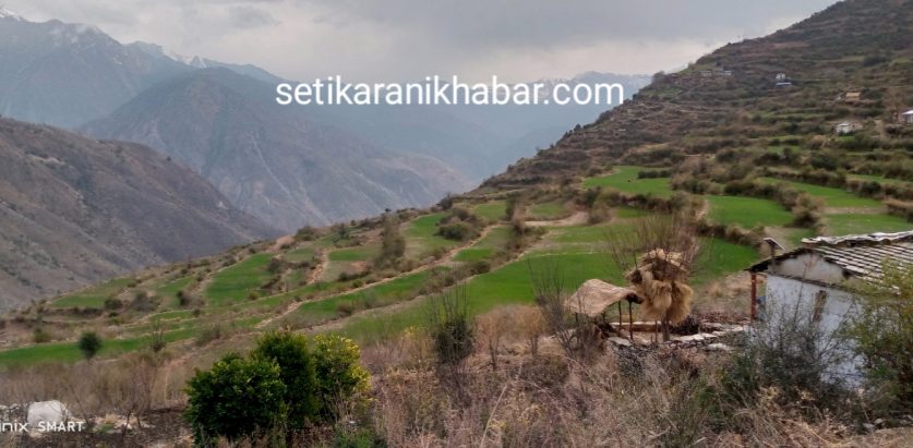 वर्षाले बालीनालीमा किसानलाई फाइदा