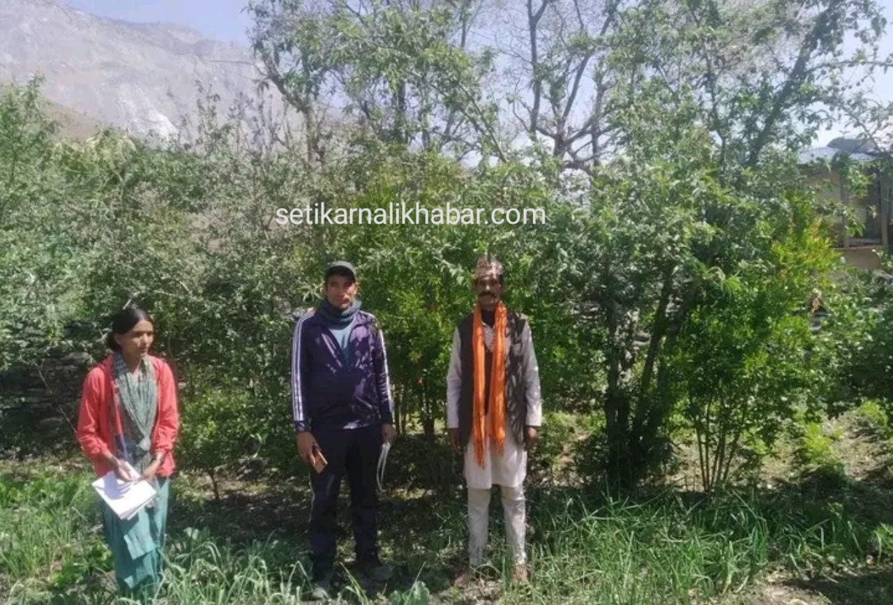 वृक्षरोपण कार्यक्रम अन्तर्गत फलफूलका बिरुवा हिमालीमा निरीक्षण