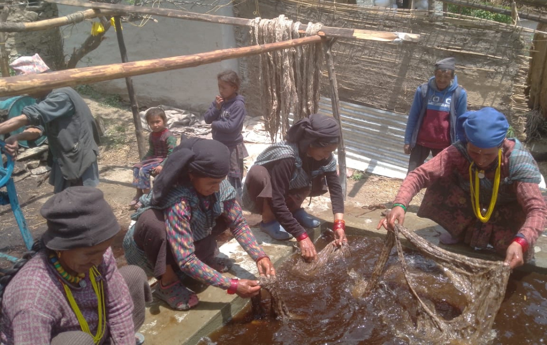अल्लो प्रशोधन केन्द्र गाउँमा संचालनमा