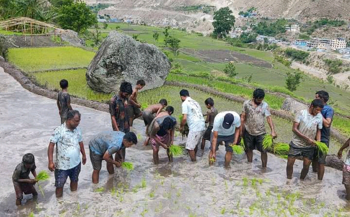 स्वामीकार्तिकमा २१ औं राष्ट्रिय धान दिवस तथा रोपाइँ महोत्सव मनाए