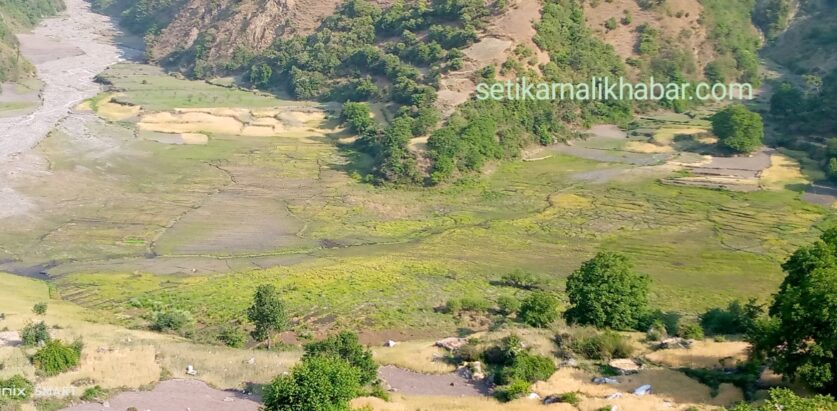 सुख्खा खडेरीले धान रोप्ने खेत छोड्दै