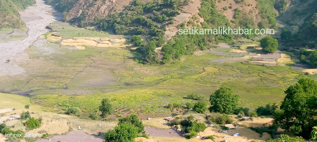 सुख्खा खडेरीले धान रोप्ने खेत छोड्दै