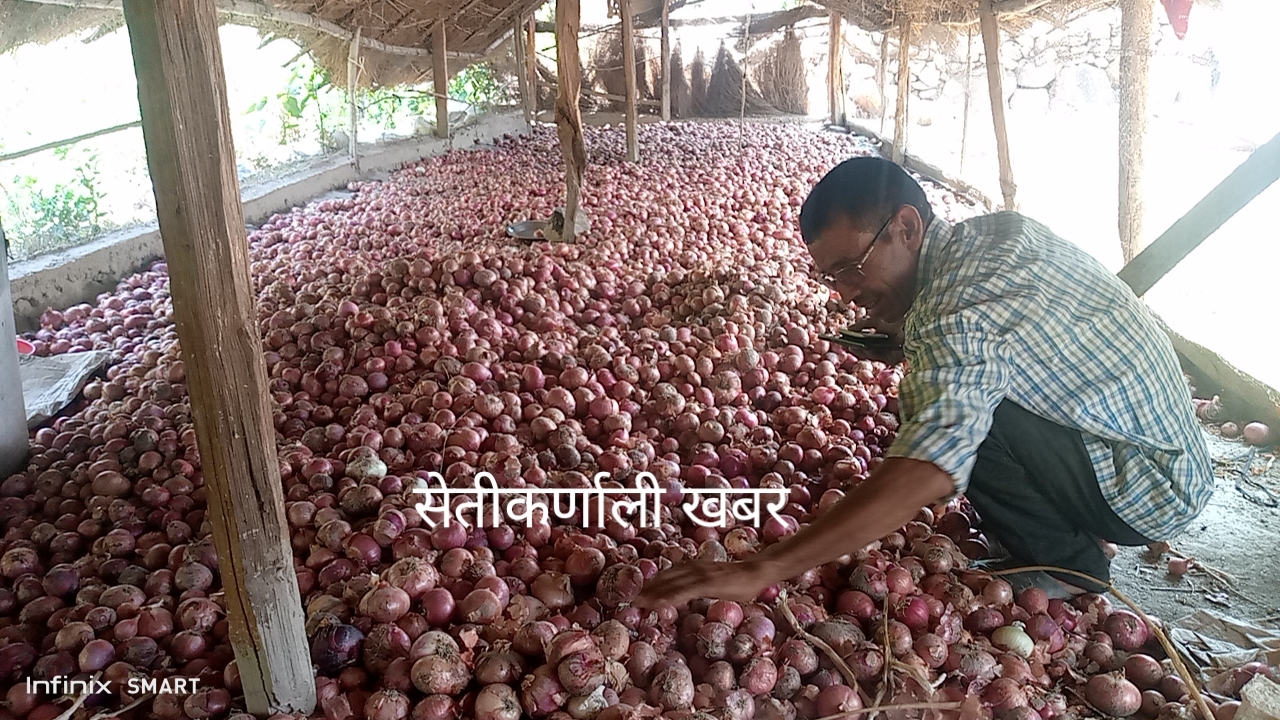 प्याजले बजारीकरण नपाउदा छानामा थन्किए