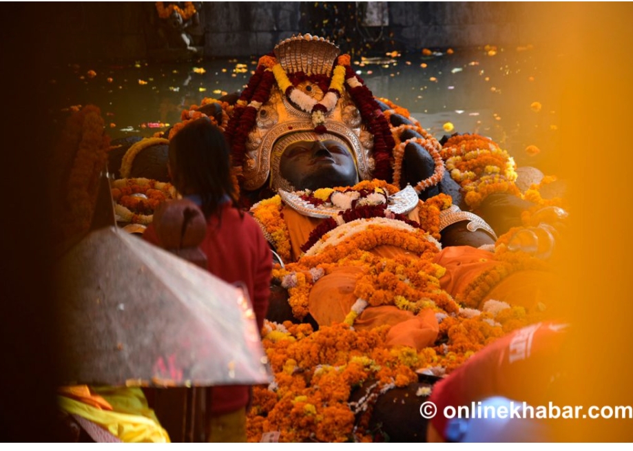 बूढानीलकण्ठमा हरिबोधिनी एकादशी मा पुजागर्ने काे घुईचाे