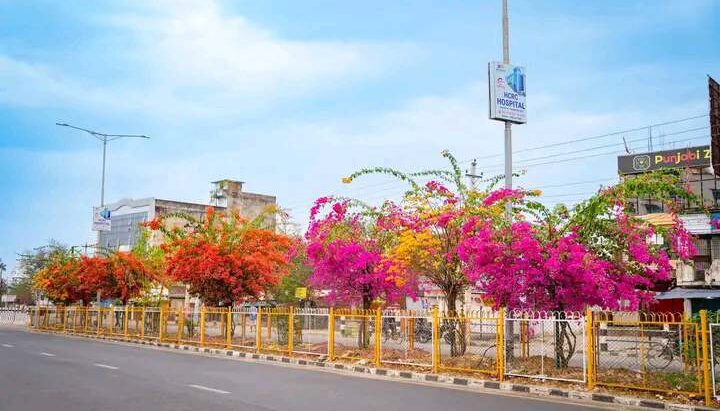 वसन्त ऋतुको आगमन सङ्गै नेपालगन्जमा बारमासे फुलहरु लगाएत,हरीयालीले शुन्दर बनस्पतिहरुको दृश्यले मन लोभ्याउदै