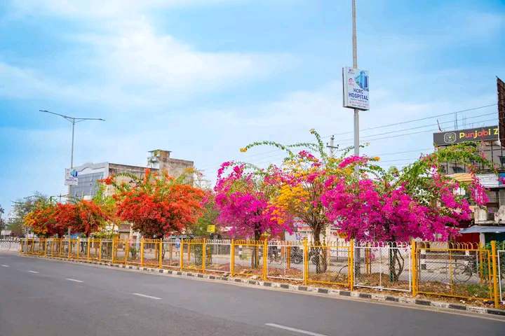 वसन्त ऋतुको आगमन सङ्गै नेपालगन्जमा बारमासे फुलहरु लगाएत,हरीयालीले शुन्दर बनस्पतिहरुको दृश्यले मन लोभ्याउदै