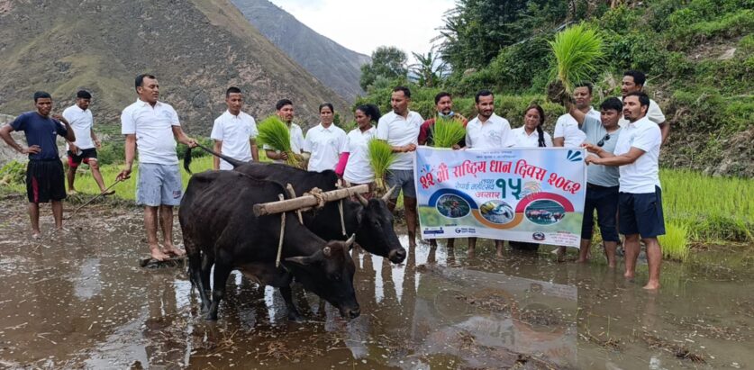 २२औँ राष्ट्रिय धान दिवस तथा रोपाइँ महोत्सव जगन्नाथमा सम्पन्न