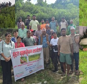 जयपृथिवी नगरपालिका वडा न३ मा वृक्षरोपण कार्यक्रम  सम्पन्न