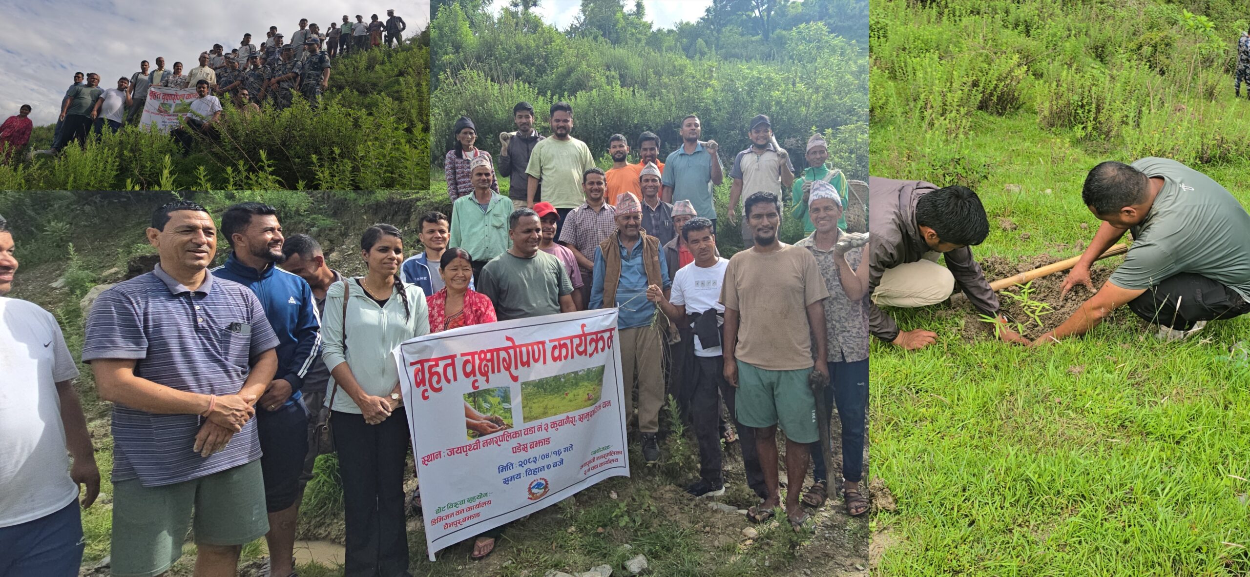 जयपृथिवी नगरपालिका वडा न३ मा वृक्षरोपण कार्यक्रम  सम्पन्न