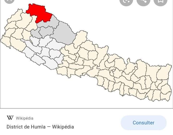 हुम्लामा ३ स्थानिय तह माओवादी ३ काङ्ग्रेस  विजयी
