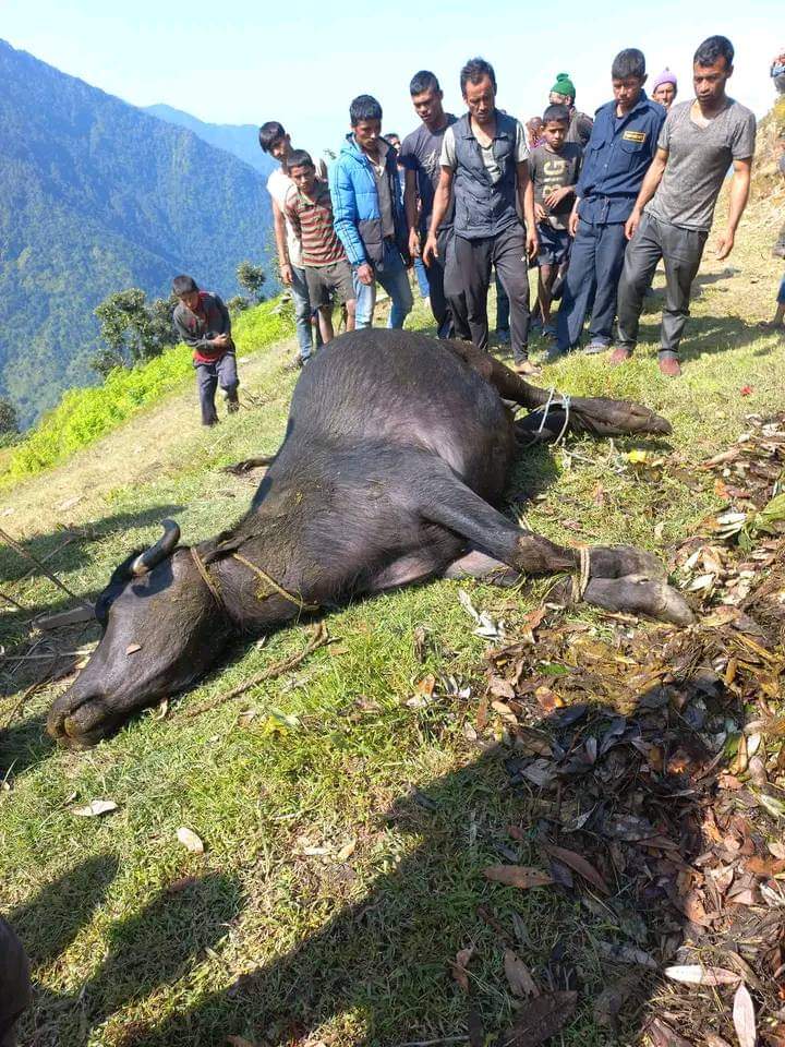 चट्याङ लागेर एक बालिकाको मृत्यु