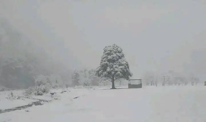 बाजुराका उच्च हिमाली भेगमा बर्षासँगै भारी हिमपात