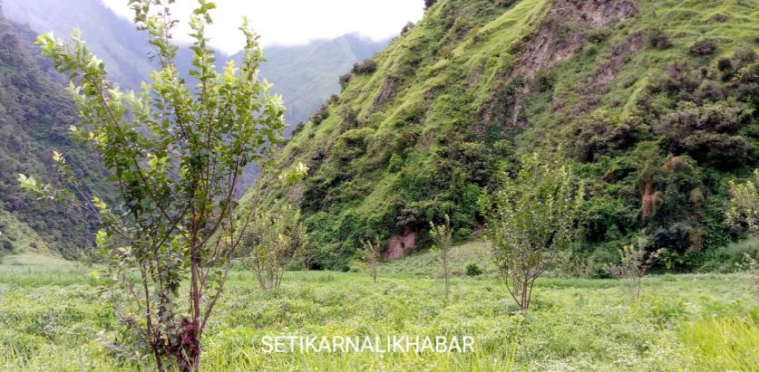 नागरिकको जनजीवन संग जोडिएको वृक्षारोपण कार्यक्रम