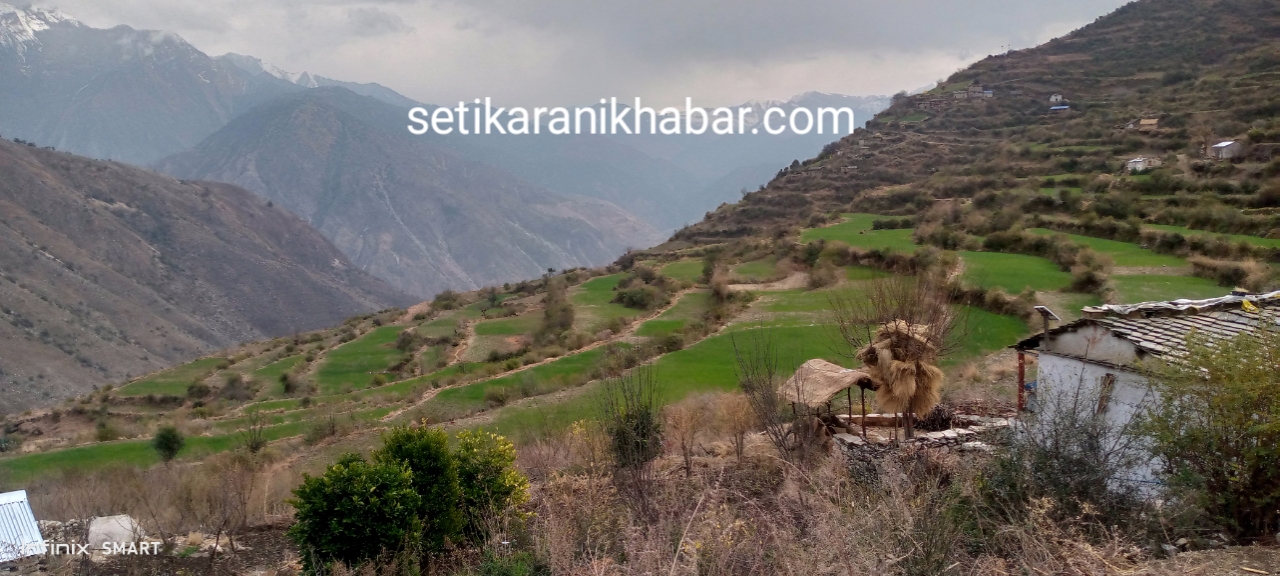 वर्षाले बालीनालीमा किसानलाई फाइदा