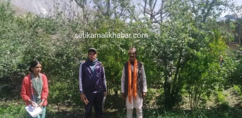वृक्षरोपण कार्यक्रम अन्तर्गत फलफूलका बिरुवा हिमालीमा निरीक्षण