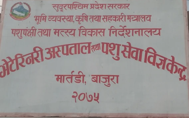 कुकुर तथा बिरालाको बन्ध्याकरण सिबिर भोलि देखि सन्चालन  हुने