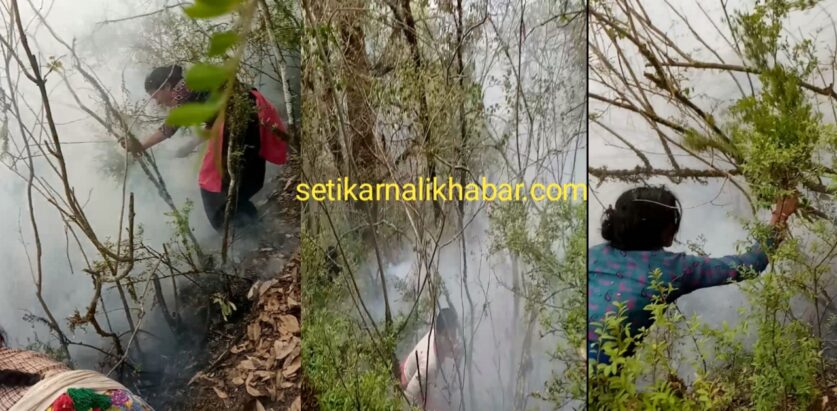 जङ्गलमा आगलागी हुँदा स्थानीय द्रारा आगो नियन्त्रण