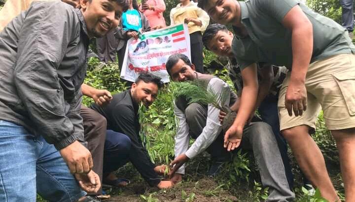 ४२ औँ वि.पी स्मृति दिवसमा बृक्षरोपण तथा सरसफाई बिरेखोलामा