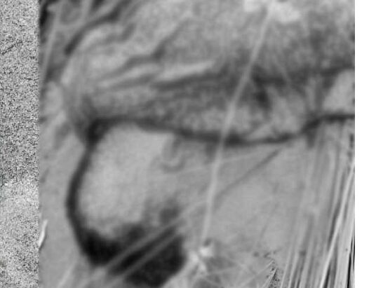 त्रिशूलीमा खसेका एक भारतीय यात्रुको शव नारायणीमा भेटियो