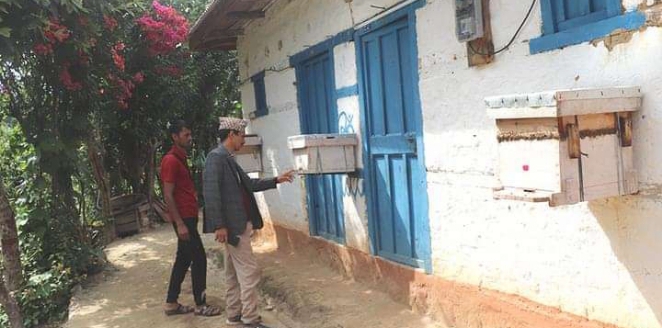 व्यावसायिक मौरीपालन गर्दै भोजपुर बैकुण्ठेका स्थानीय