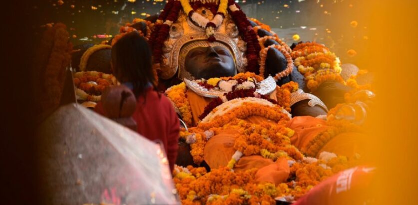 बूढानीलकण्ठमा हरिबोधिनी एकादशी मा पुजागर्ने काे घुईचाे