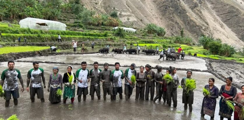 २२ औं राष्ट्रिय धान दिवस स्वामिकार्तिक खापर गाउँपालिकाद्वारा  काम्तिमा भव्य रूपमा सम्पन्न