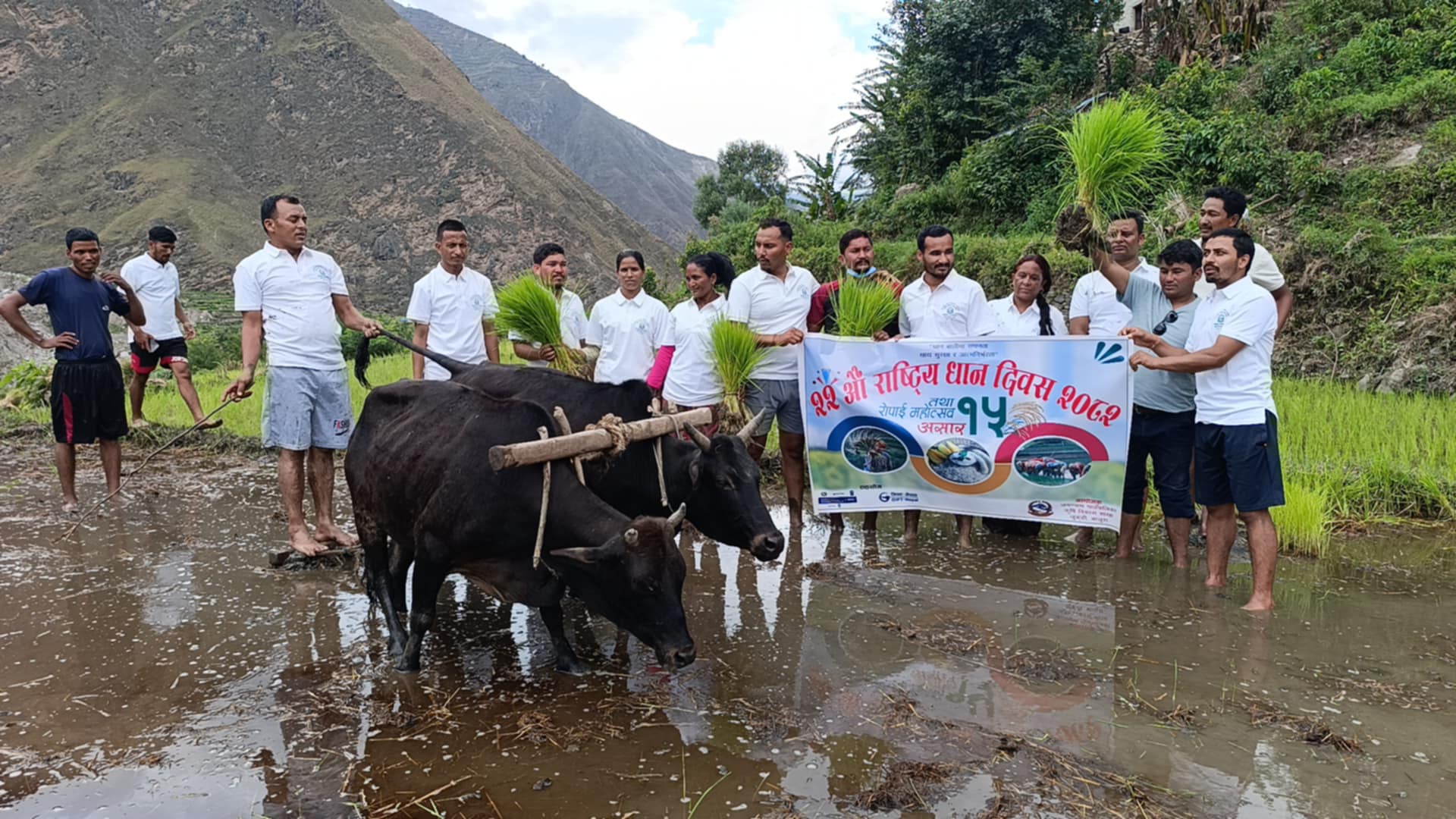 २२औँ राष्ट्रिय धान दिवस तथा रोपाइँ महोत्सव जगन्नाथमा सम्पन्न