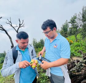 स्वामिकार्तिक खापर गाउँपालिकामा स्याउको गुणस्तर परीक्षण