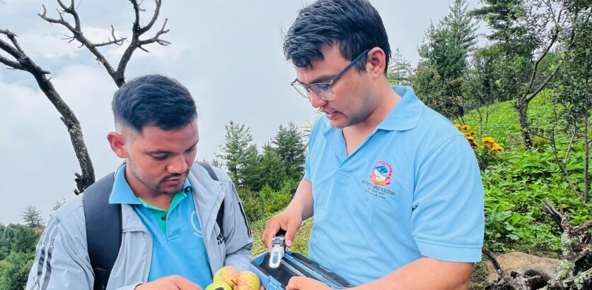 स्वामिकार्तिक खापर गाउँपालिकामा स्याउको गुणस्तर परीक्षण