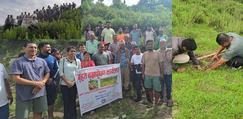जयपृथिवी नगरपालिका वडा न३ मा वृक्षरोपण कार्यक्रम  सम्पन्न