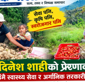 गाउँमै स्वास्थ्य सेवा र अर्गानिक तरकारी खेती गर्दै दिनेश शाही, युवालाई स्वदेशमै स्वरोजगार बन्न प्रेरणा