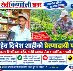 गाउँमै स्वास्थ्य सेवा र अर्गानिक तरकारी खेती गर्दै शाही, युवालाई स्वदेशमै स्वरोजगार बन्न प्रेरणा