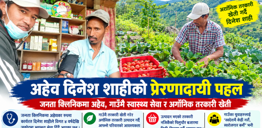 गाउँमै स्वास्थ्य सेवा र अर्गानिक तरकारी खेती गर्दै शाही, युवालाई स्वदेशमै स्वरोजगार बन्न प्रेरणा